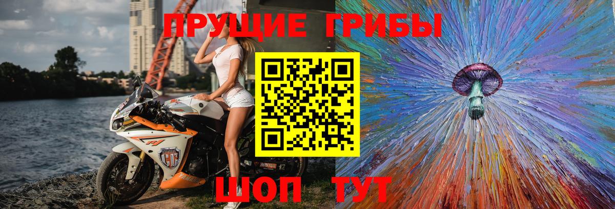 Псилоцибиновые грибы Psilocybine cubensis  Вход с VPN  Псилоцибиновые грибы мицелий  Красногорск 